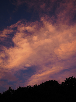 P7172152_thumb.png
