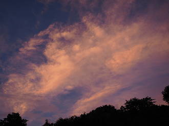 P7172153_thumb.png