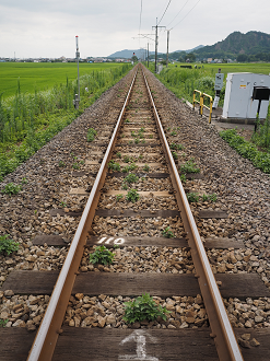 P7230059_thumb.png