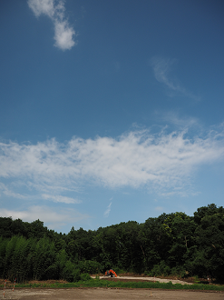 P7230069_thumb.png