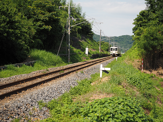 P7230072_thumb.png