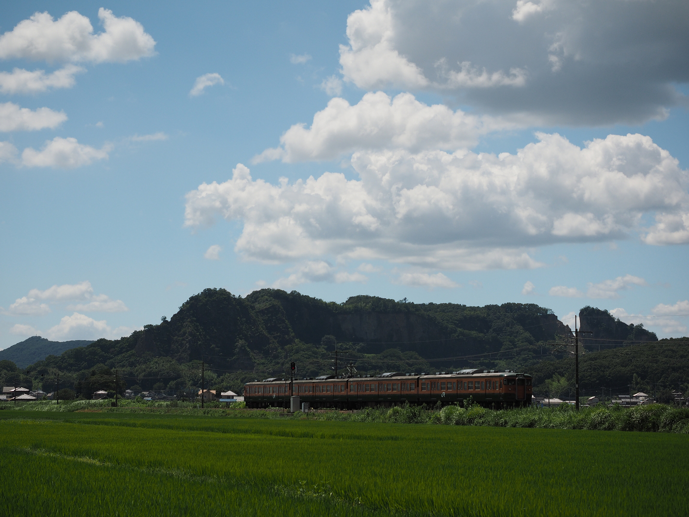 P7310005.jpg