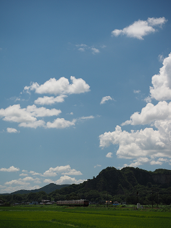 P7310006_thumb.png