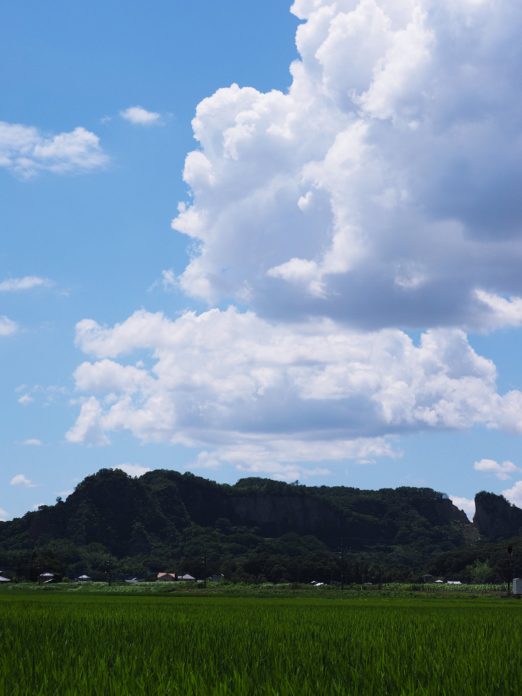P7310010.jpg