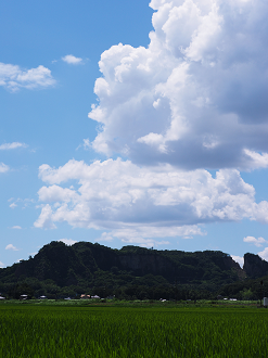P7310010_thumb.png