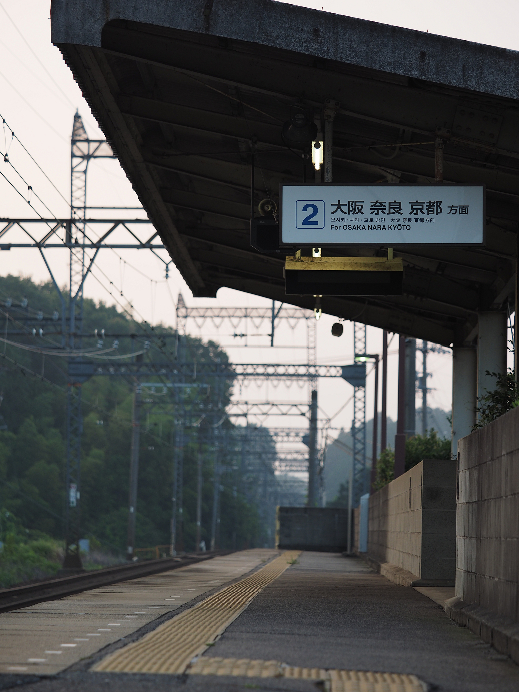 P8060044.jpg