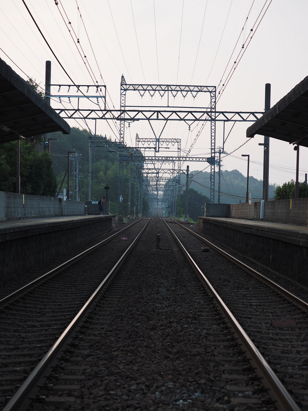 P8060050.jpg