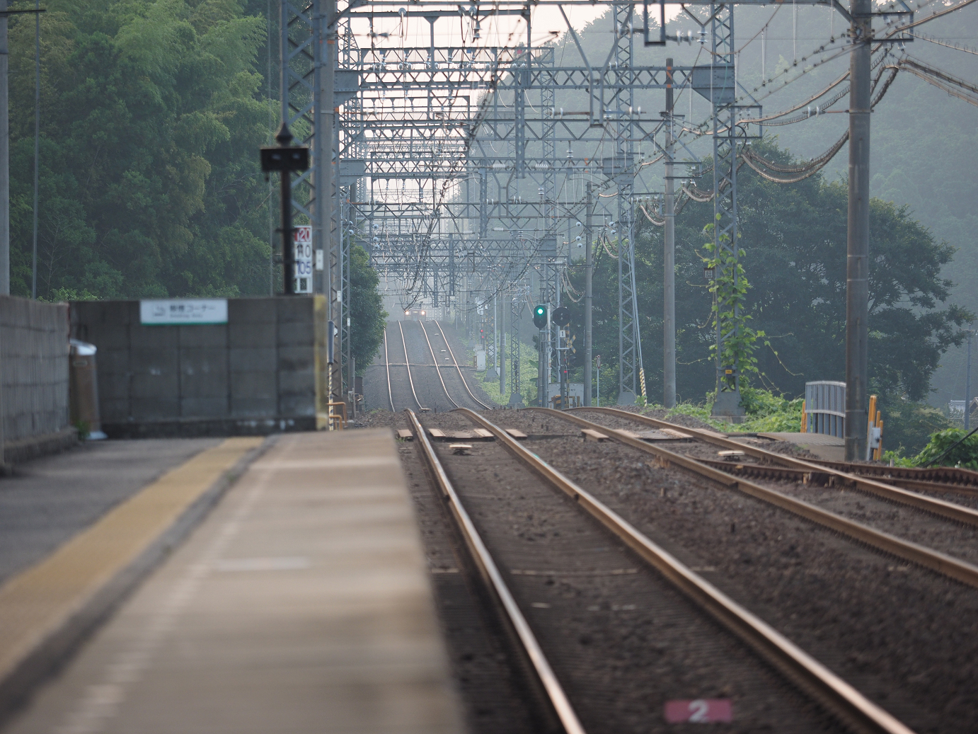 P8060100.jpg