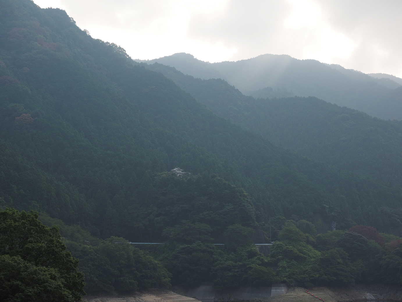 P8060199.jpg