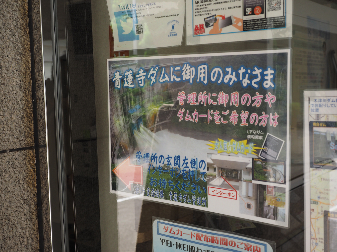 P8060238.jpg