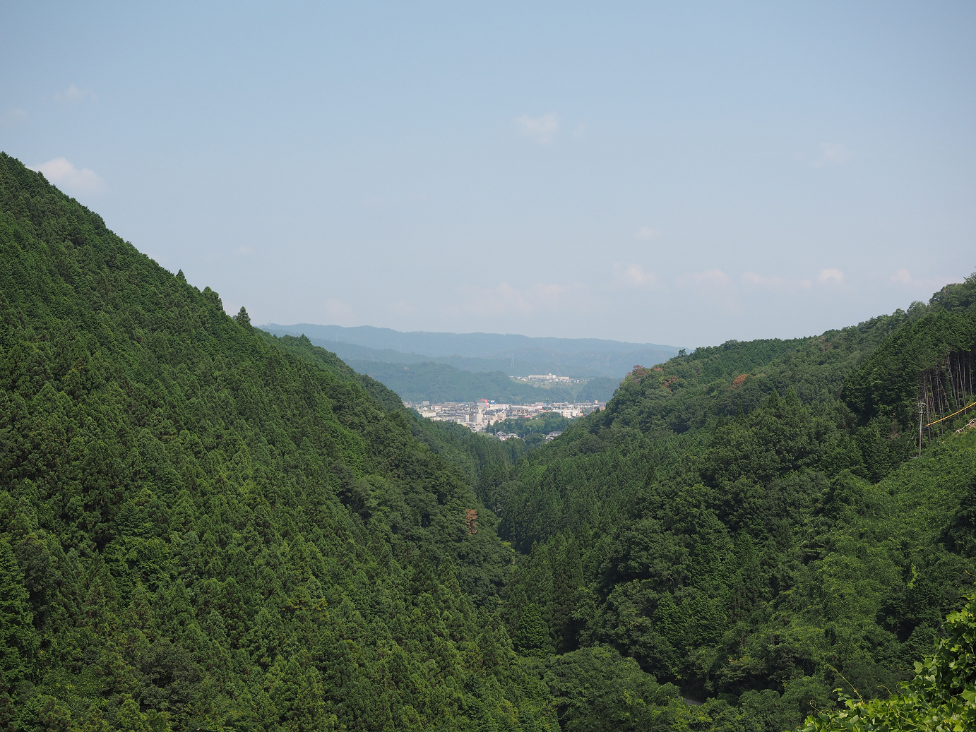 P8060242.jpg