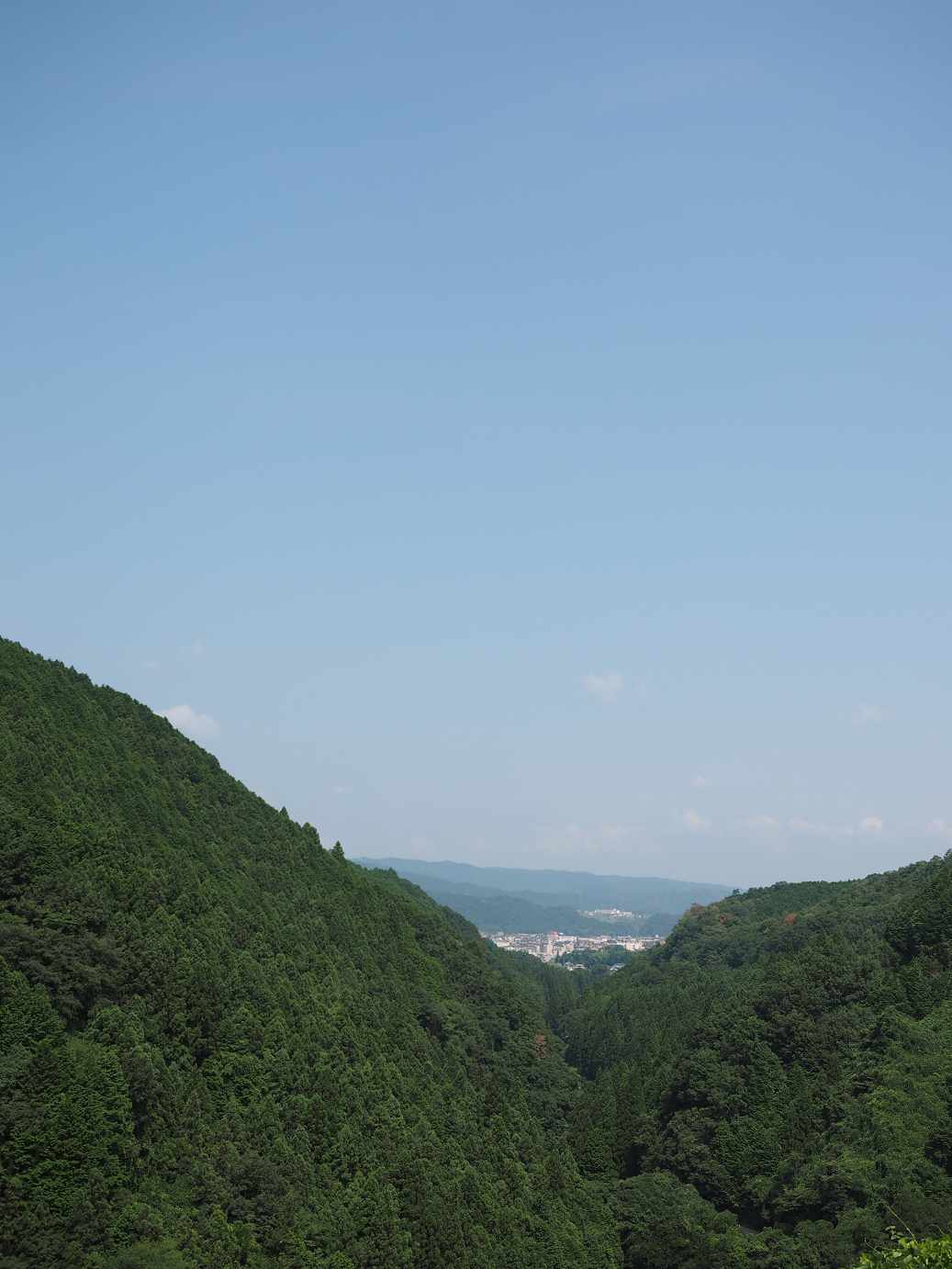 P8060243.jpg