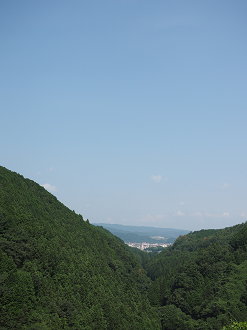P8060243_thumb.png