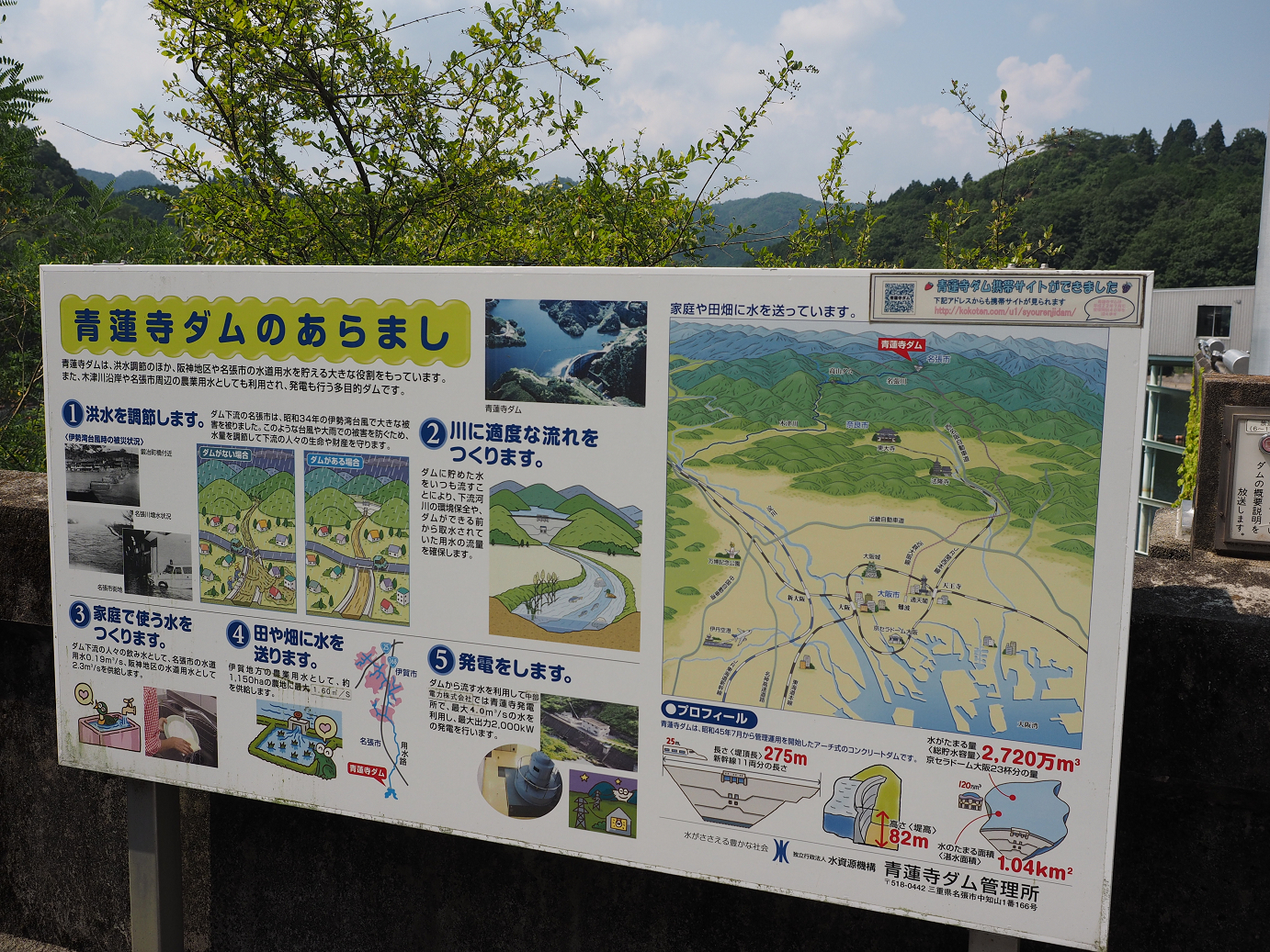 P8060250.jpg