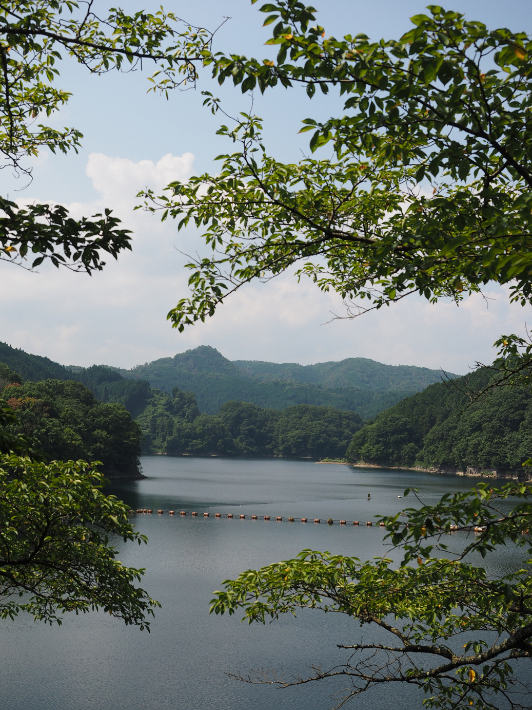 P8060252.jpg