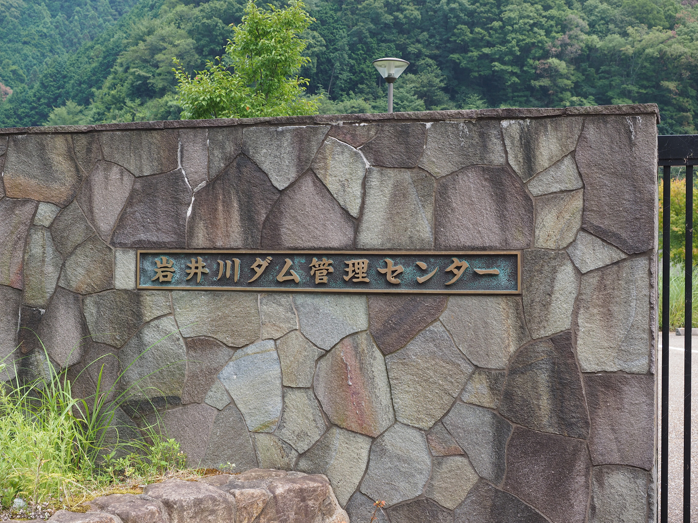 P8060323.jpg