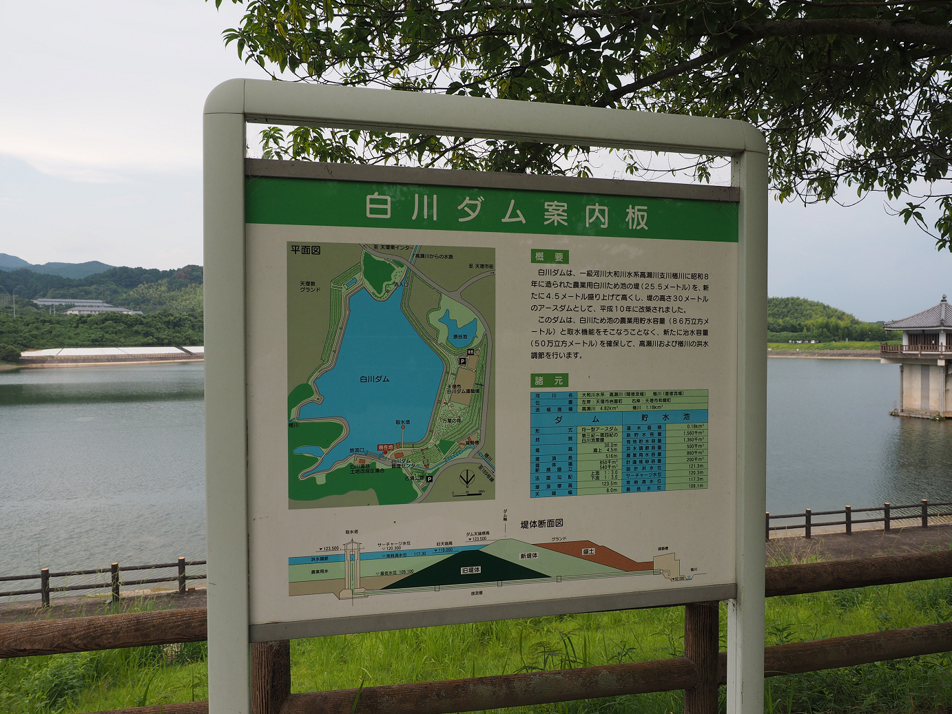 P8060330.jpg