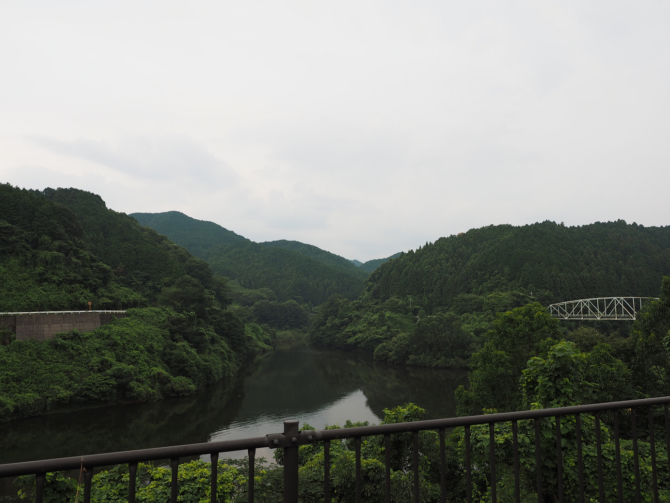 P8060335.jpg