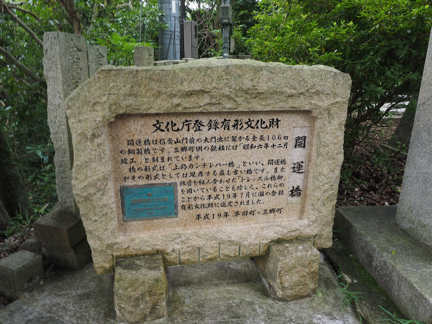 P8060341.jpg