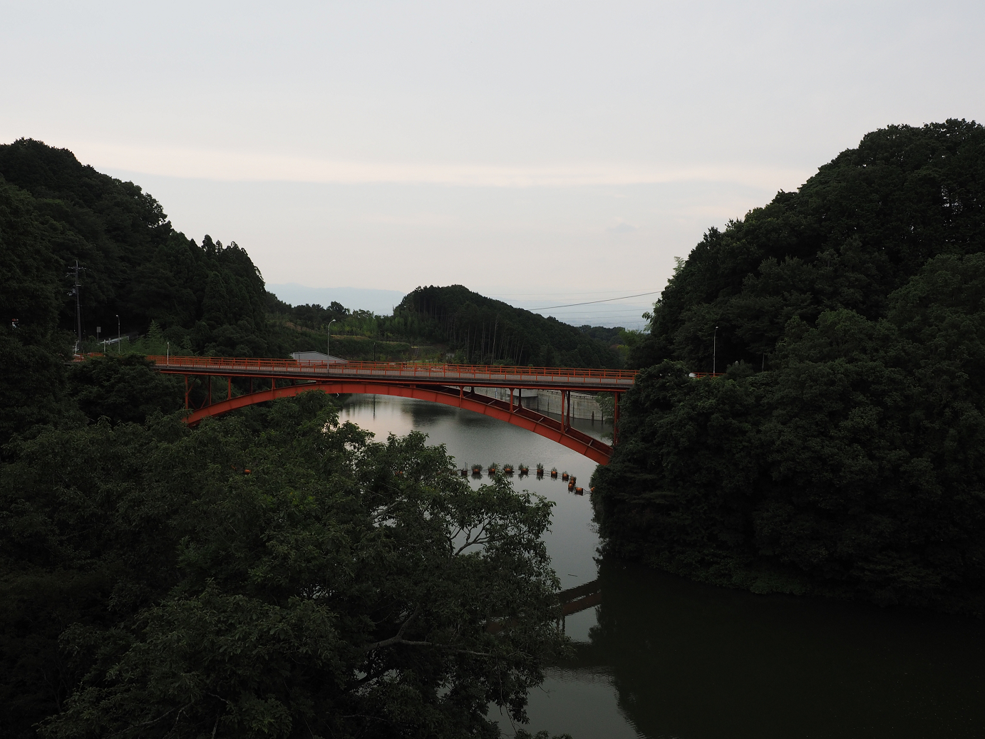 P8060342.jpg