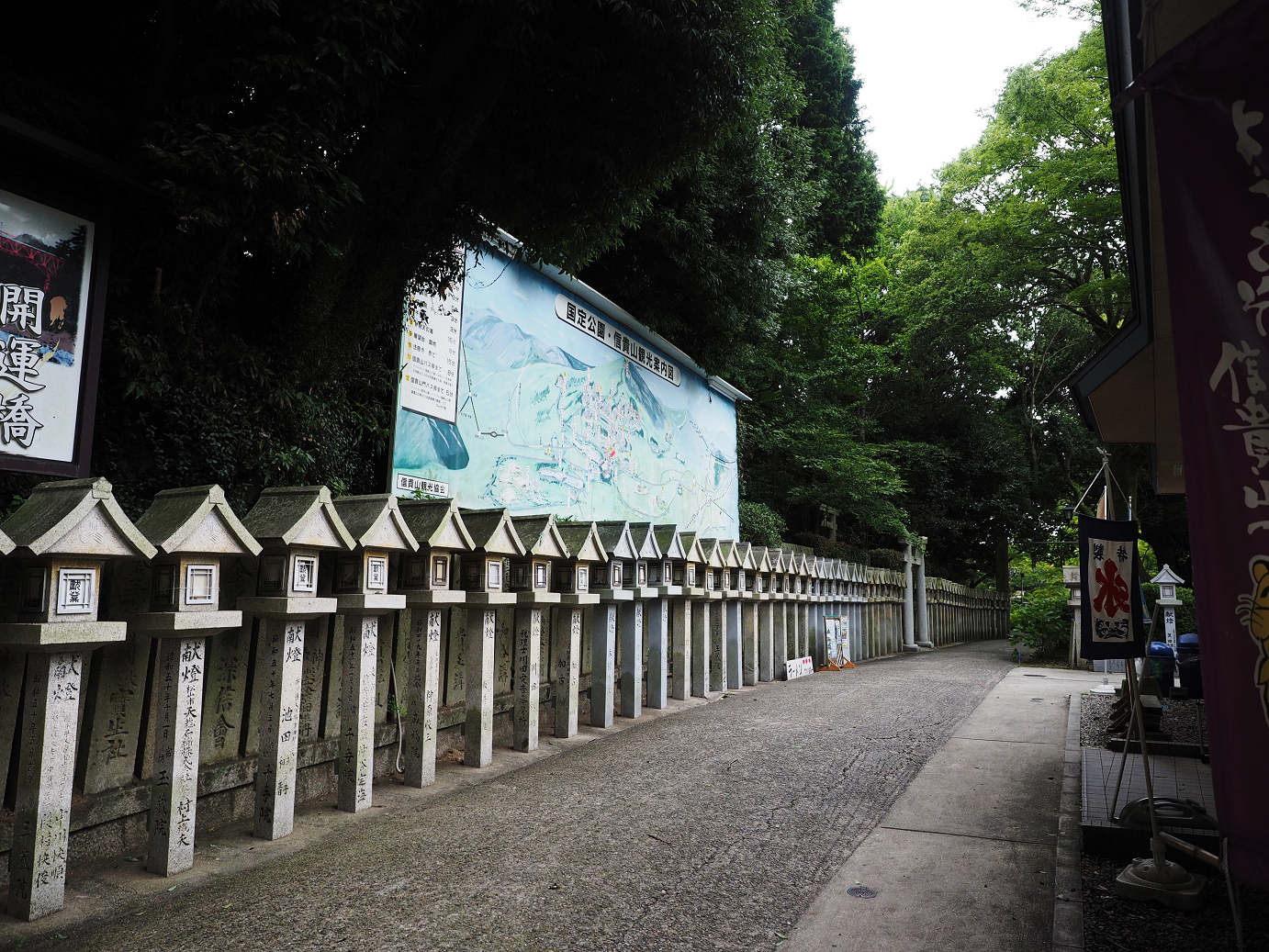 P8060348.jpg