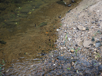 P8060364_thumb.png