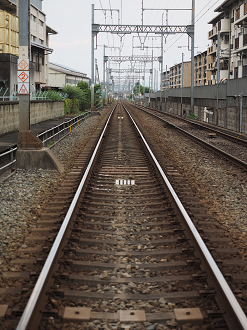 P8060370_thumb.png