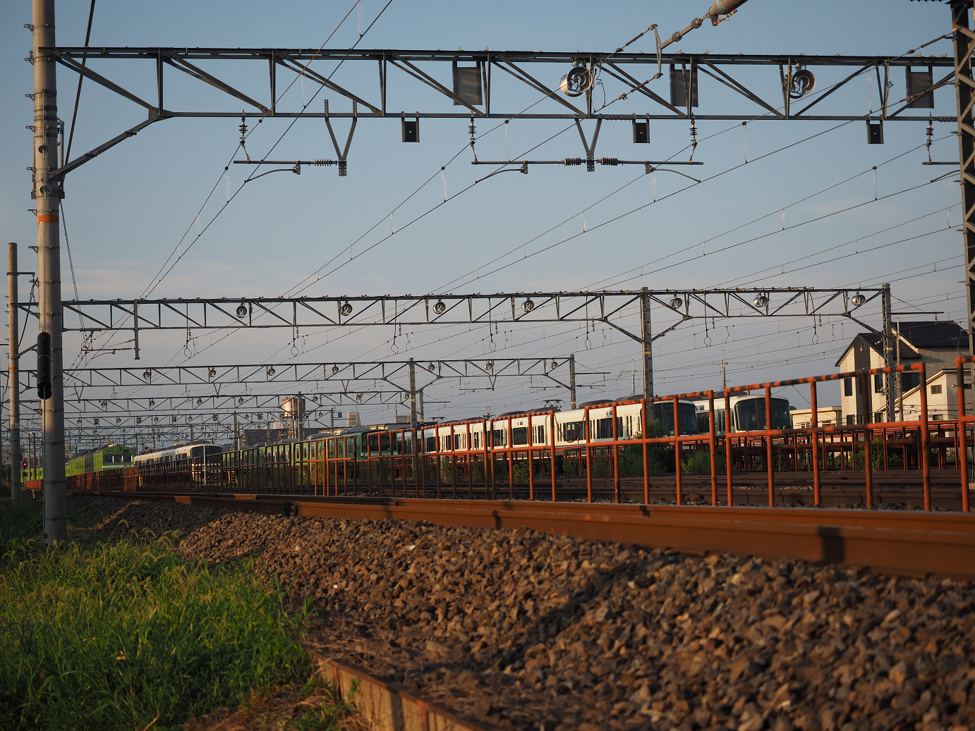 P8070413.jpg