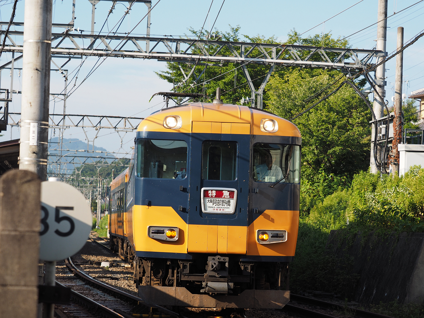 P8070461.jpg
