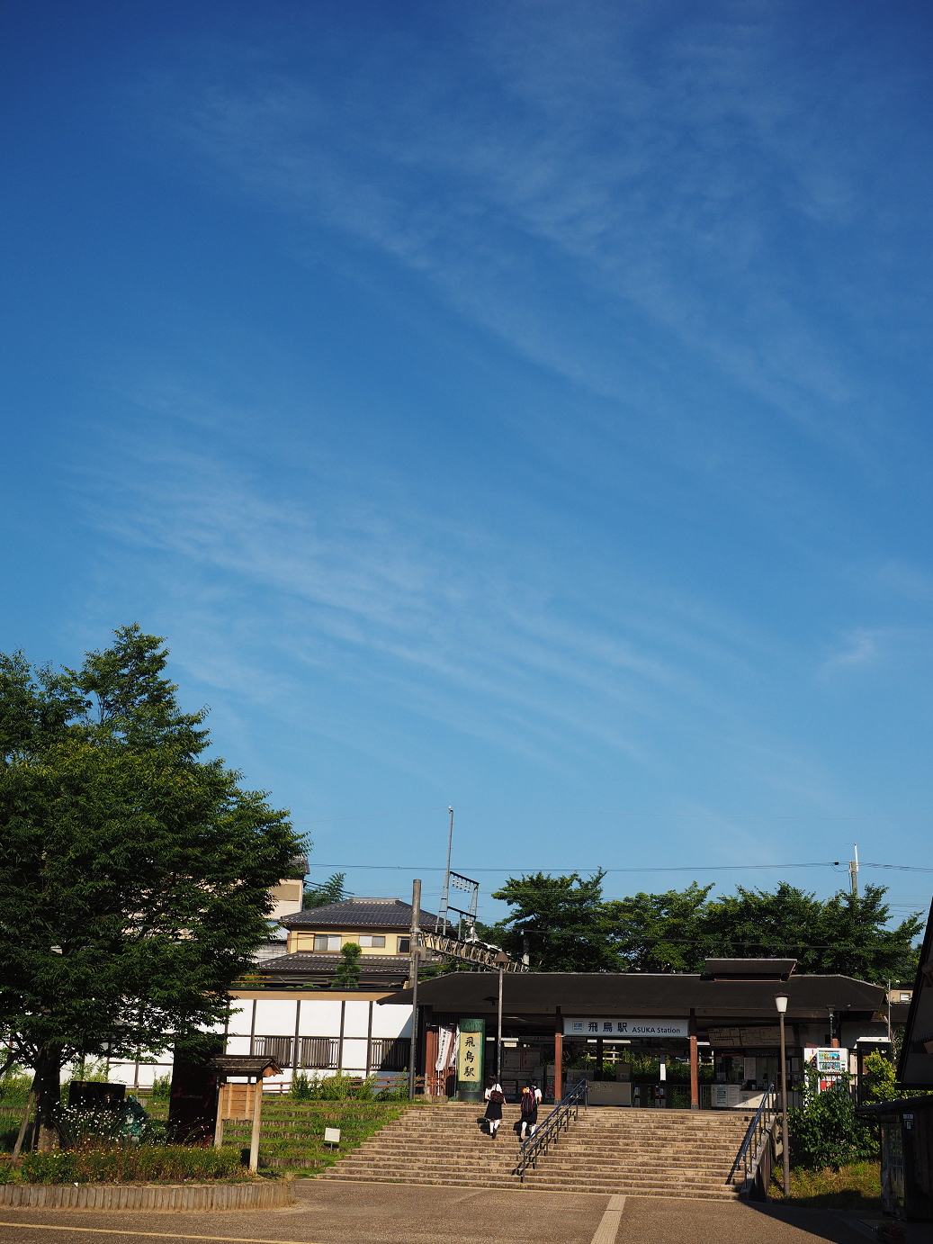 P8070489.jpg