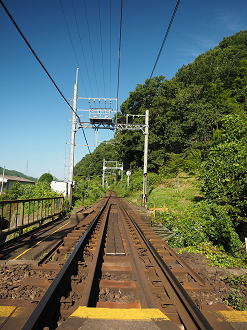 P8070523_thumb.png
