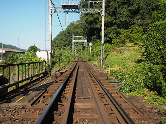 P8070524_thumb.png