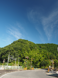 P8070535_thumb.png
