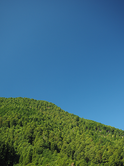 P8070650_thumb.png