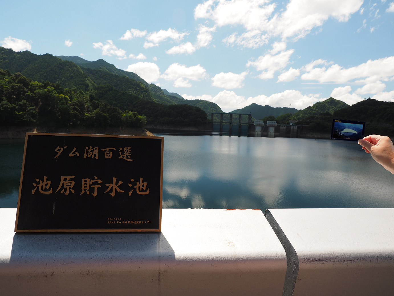 P8070681.jpg
