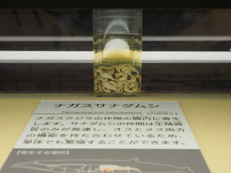 P8071095_thumb.png