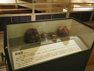 P8071098_thumb.png