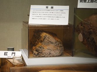 P8071106_thumb.png