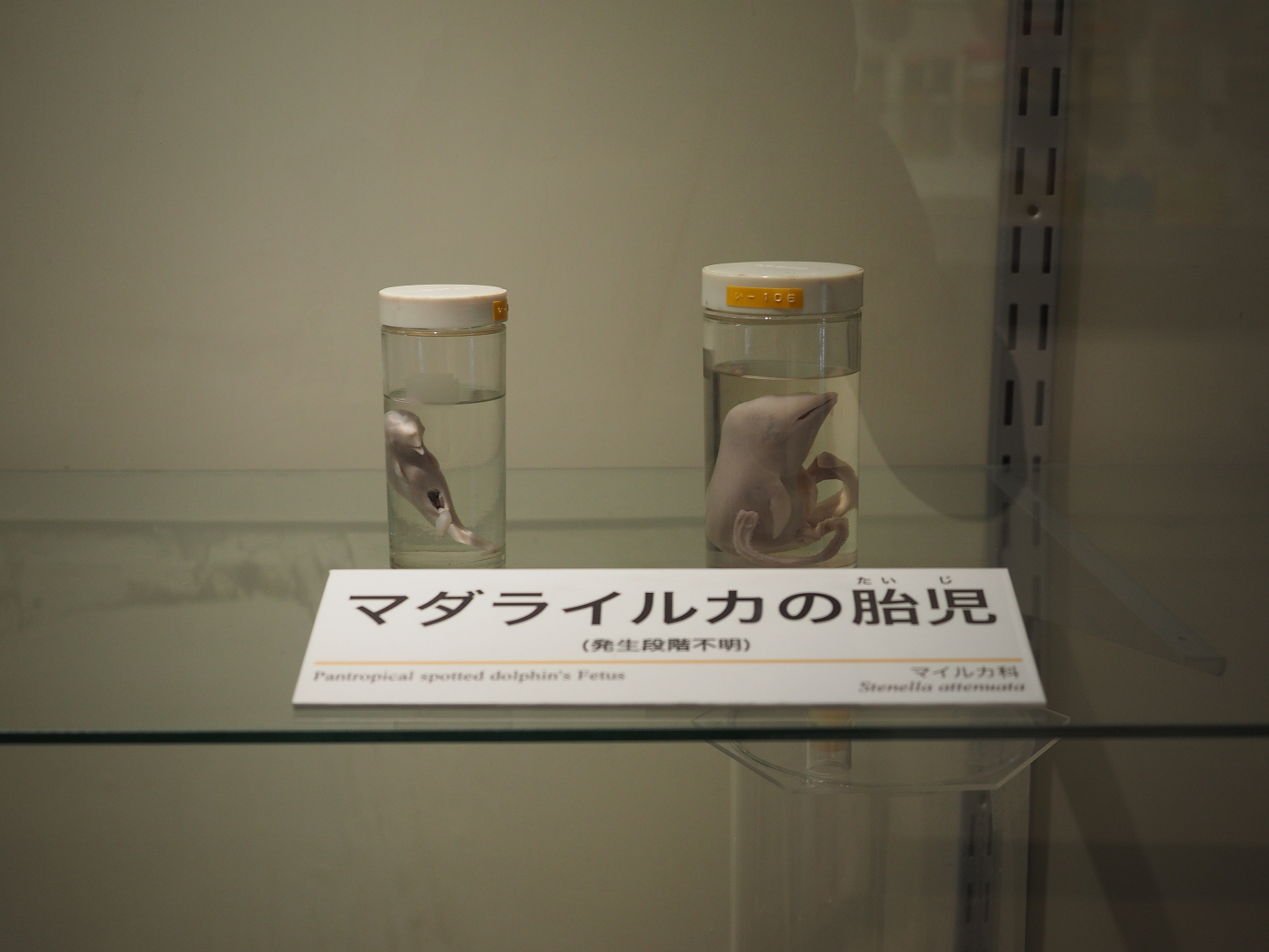 P8071132.jpg