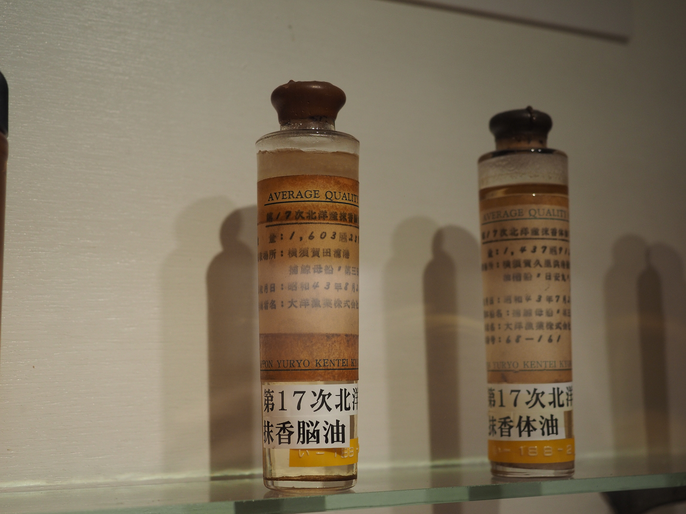 P8071135.jpg