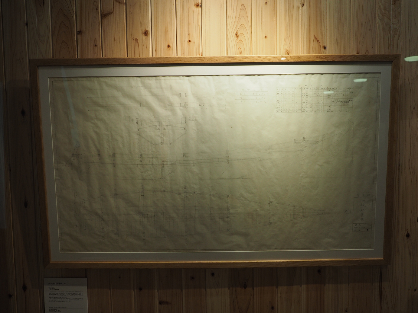 P8071140.jpg