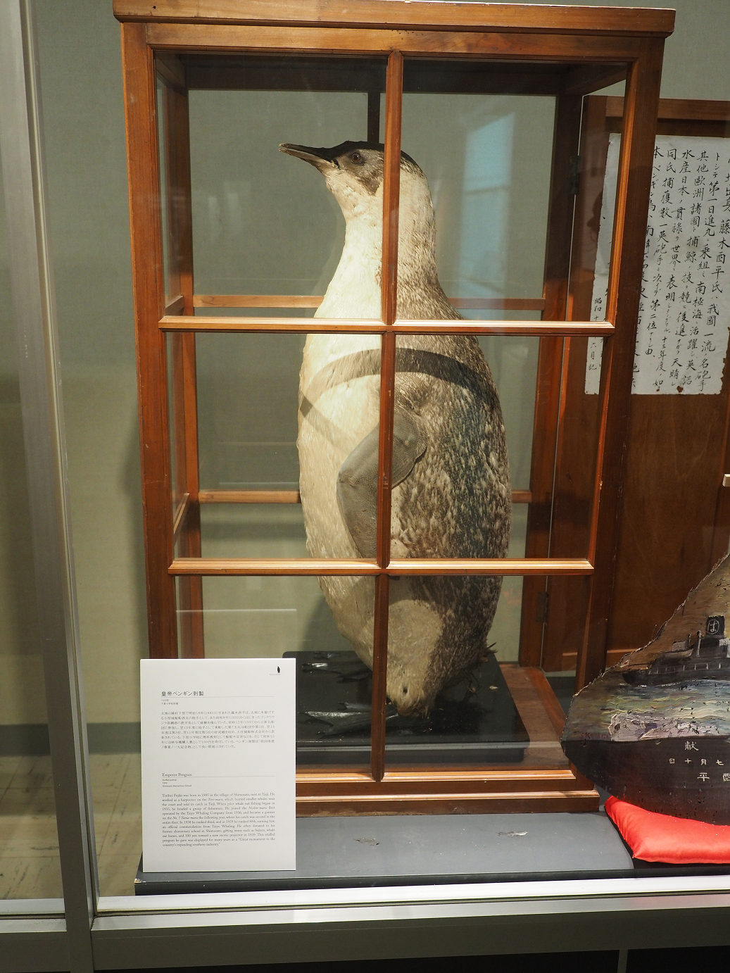 P8071141.jpg