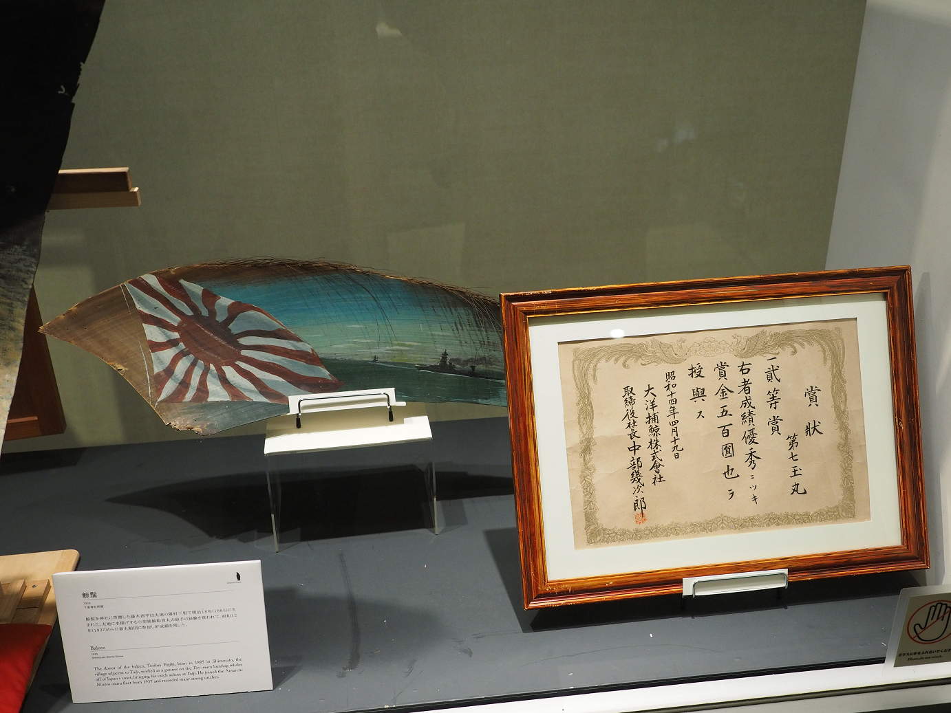 P8071144.jpg