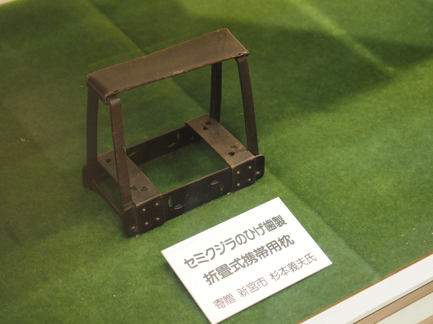 P8071167.jpg