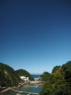 P8071171_thumb.png