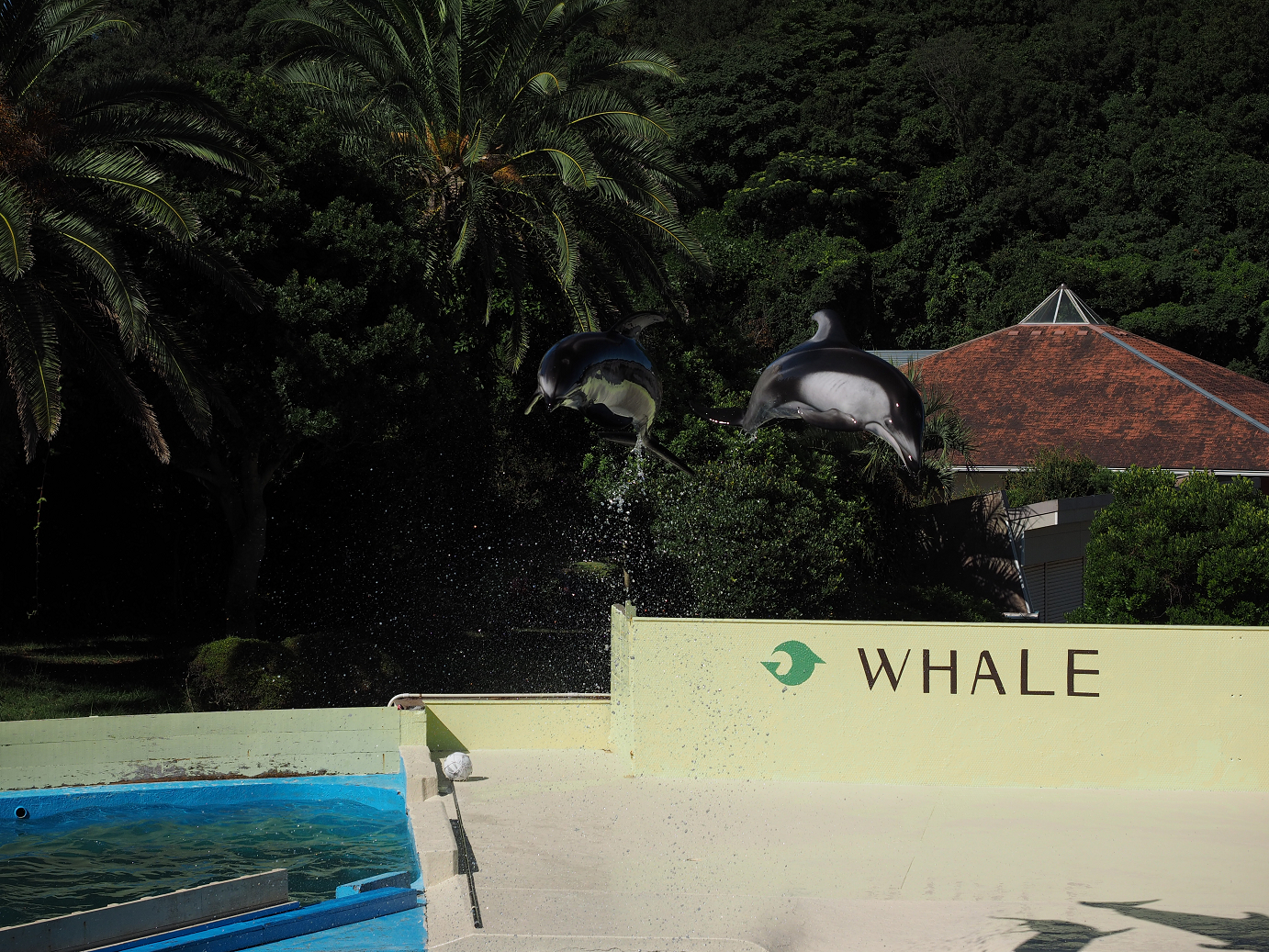 P8071350.jpg