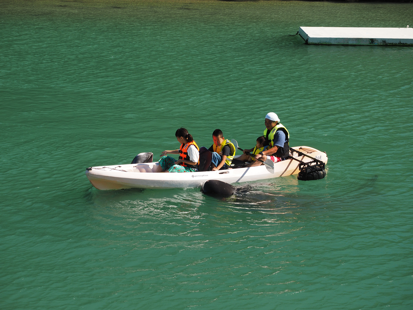 P8071441.jpg
