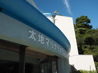 P8071445_thumb.png