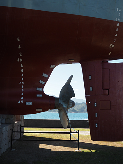 P8071543_thumb.png