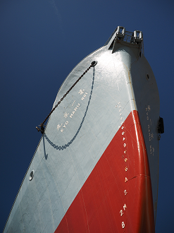 P8071554_thumb.png